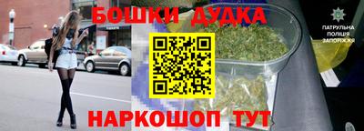 молекула духа Ставрополь