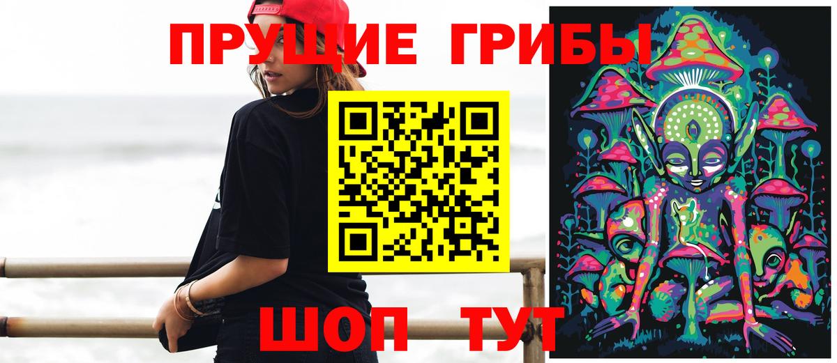 Чистополь  Галлюциногенные грибы Psilocybe  Вход с VPN 